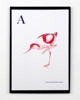 A-Z of Birds by Jamie Shovlin