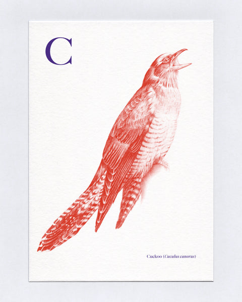 C is for Cuckoo