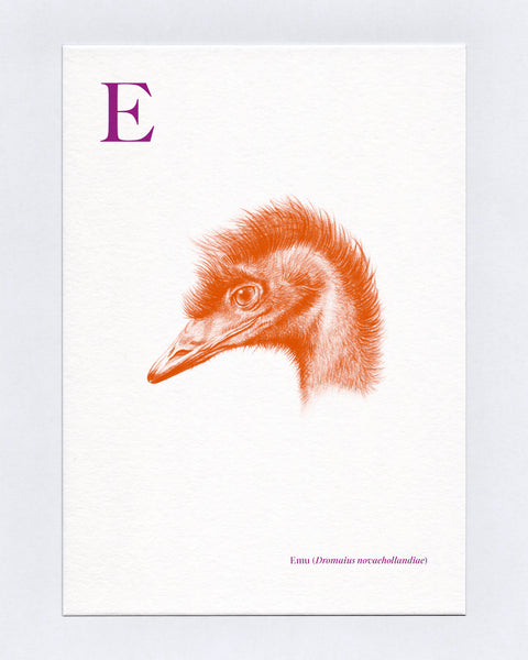 E is for Emu