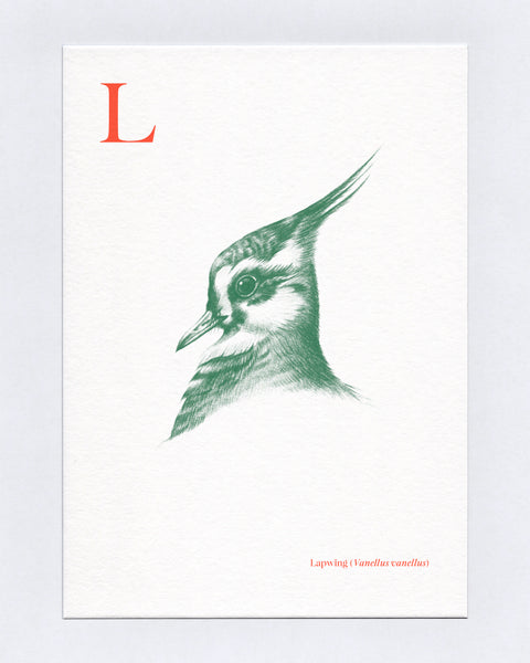 L is for Lapwing