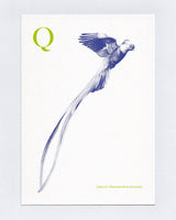 Q is for Quetzal