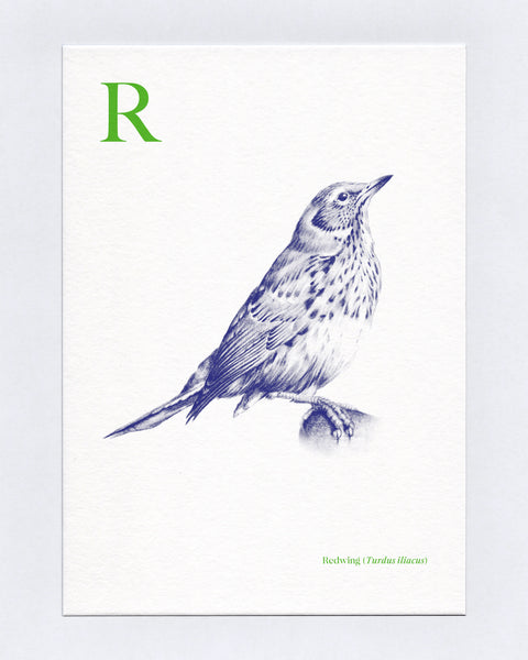 R is for Redwing