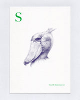 S is for Shoebill