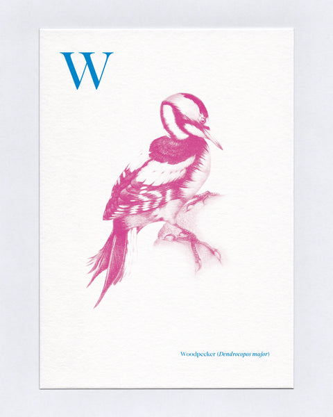 W is for Woodpecker