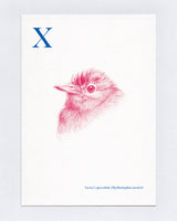 X is for Xavier's greenbul