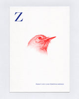 A-Z of Birds by Jamie Shovlin